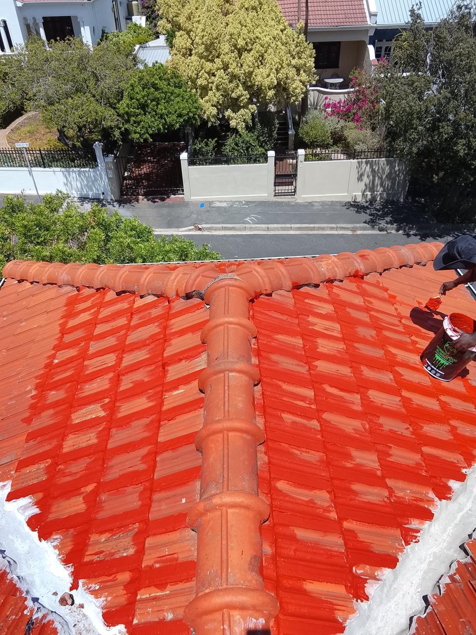 Residential roof waterproofing
